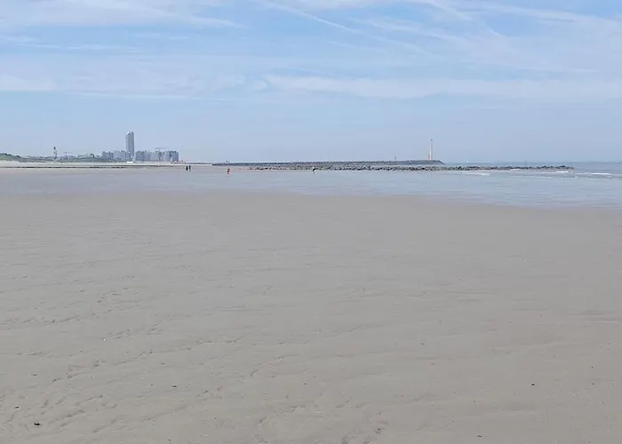 Apartment Park Tower Sea View With Pool And Gym